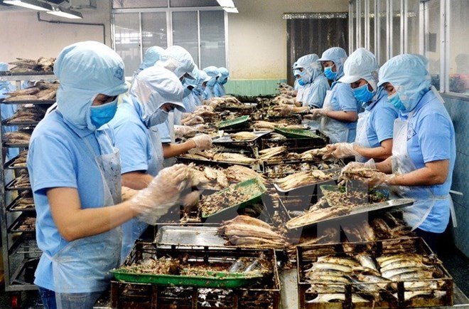 附圖：2018年前兩月越南水產(chǎn)品出口額同比增長近30%。（圖片來源：越通社）